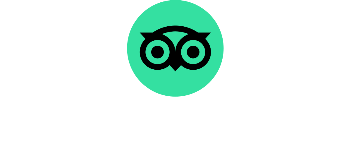 Monster Activities